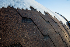 Oval Sauna Sauna Baltic